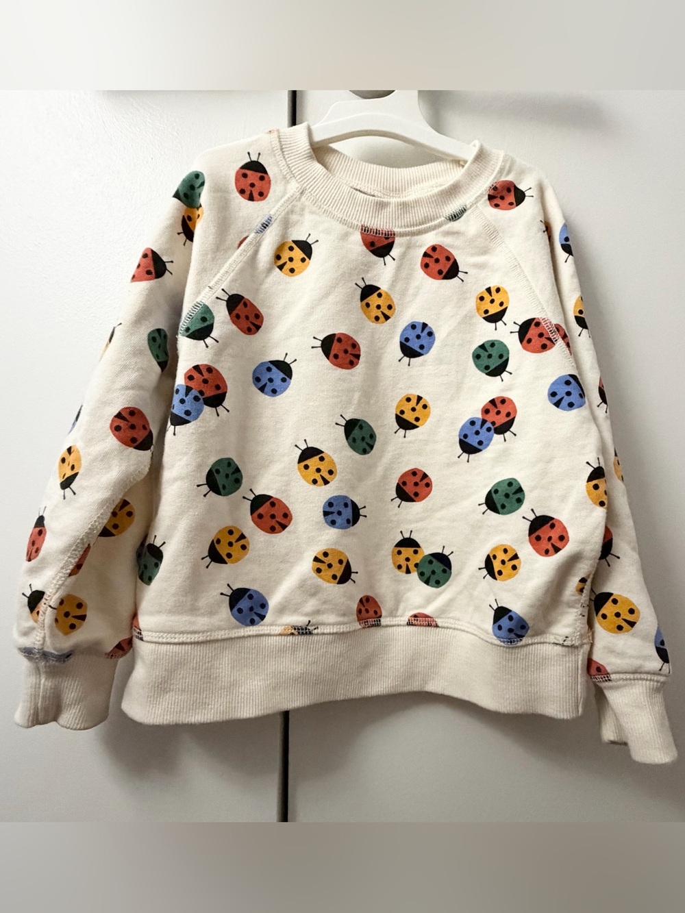 Hanna Andersson ladybug sweatshirt